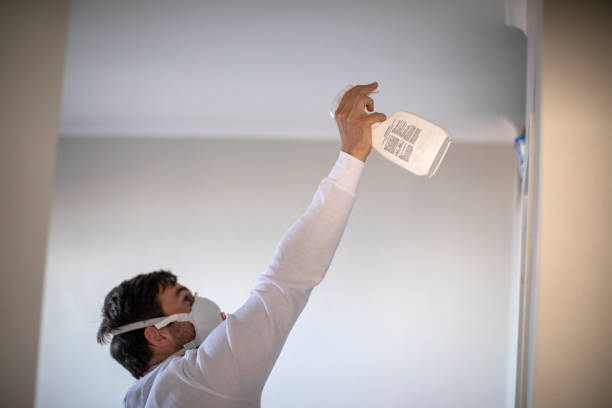 Best Office Mold Removal Services  in Sweet Home, OR