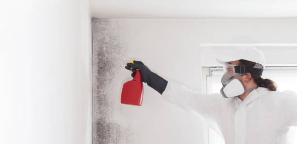 Best Mold Removal Process  in Sweet Home, OR