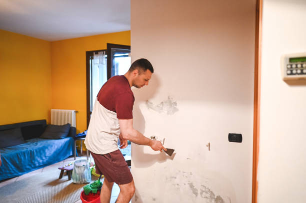 Best Mold Removal Company Near Me  in Sweet Home, OR